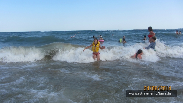 photo 794513