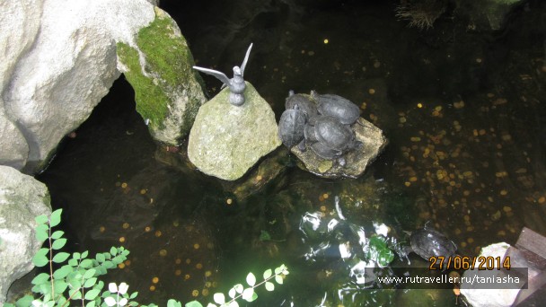 photo 802345