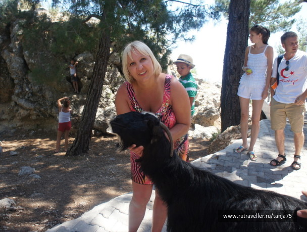 photo 228884