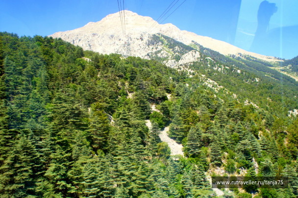photo 228887