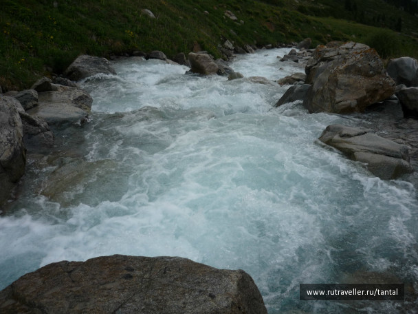 photo 130753