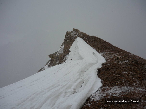 photo 130762