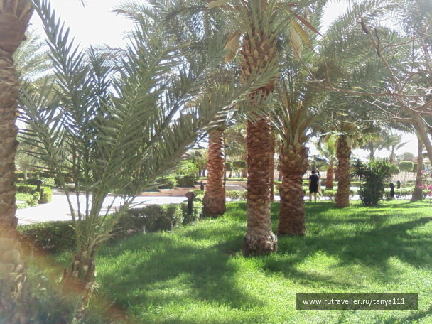 photo 20743