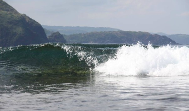 wave2