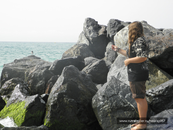 photo 439928