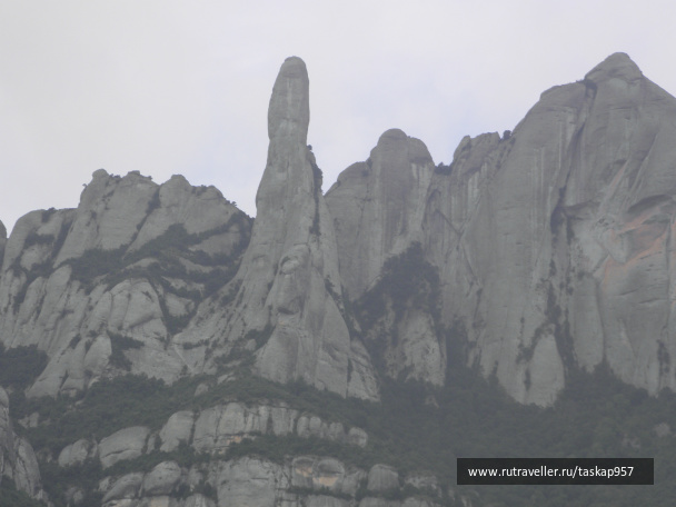 photo 439950
