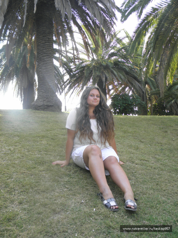 photo 439955