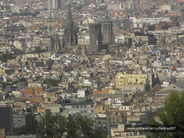 photo 439958