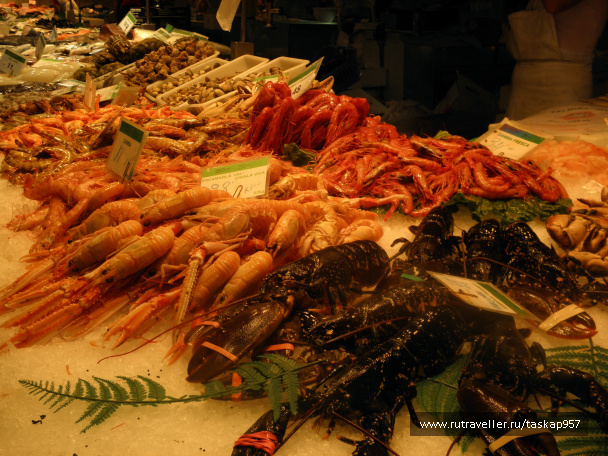 photo 469264