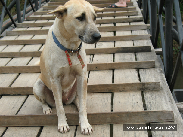 photo 452025
