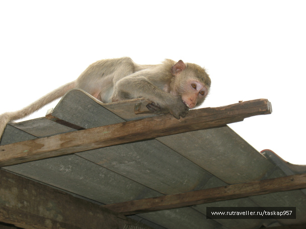 photo 452057