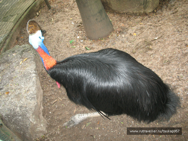photo 452060