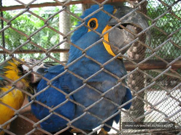 photo 452061