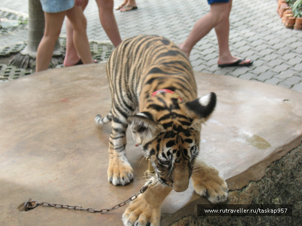 photo 452065
