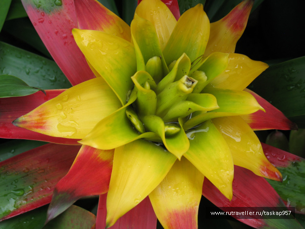 photo 452067
