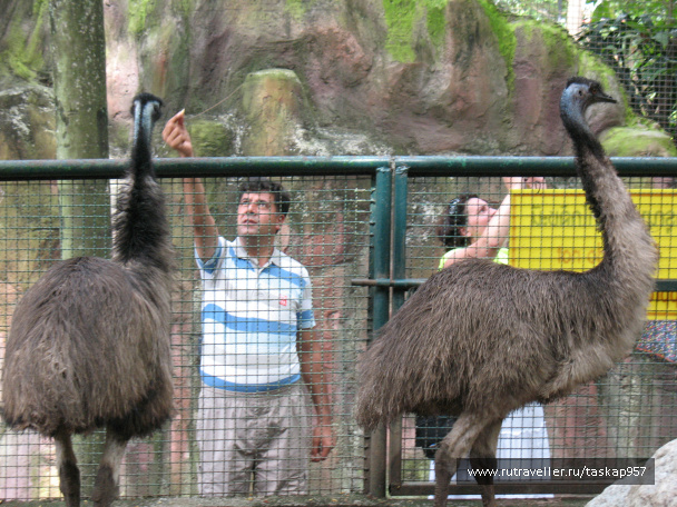 photo 452072
