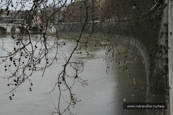 photo 48882