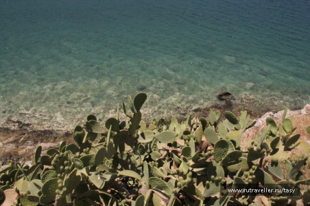 photo 7358