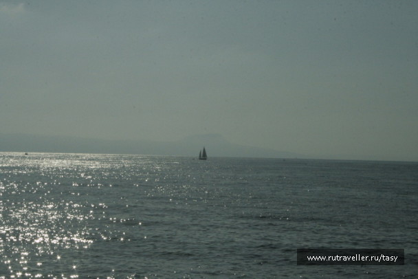 photo 7362