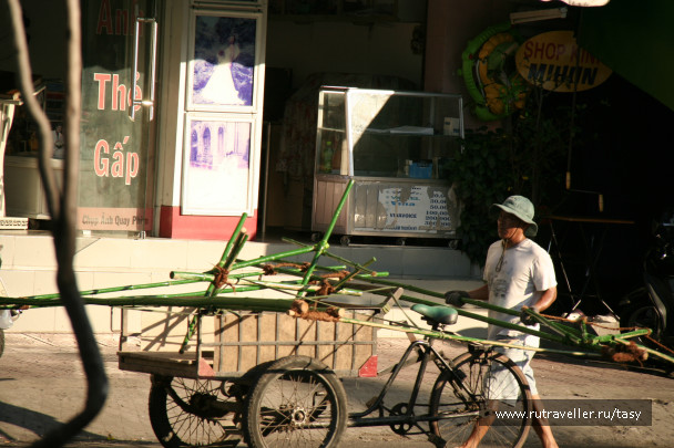 photo 1001635
