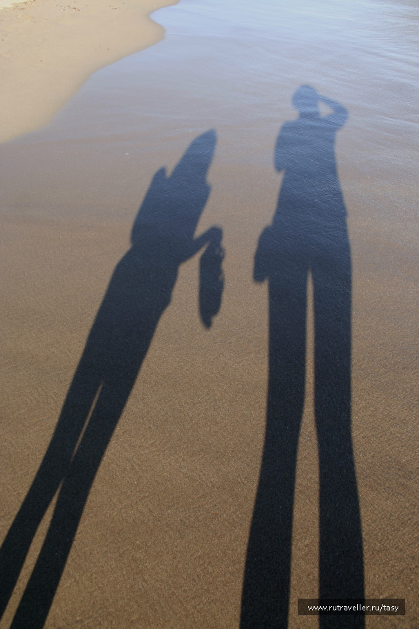photo 47233