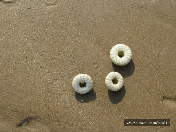 photo 46022