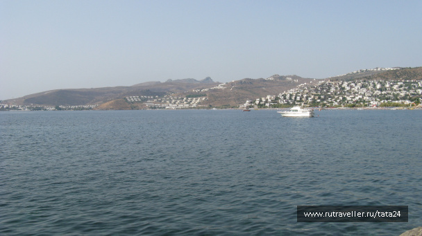 photo 46078