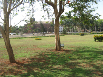 photo 82011