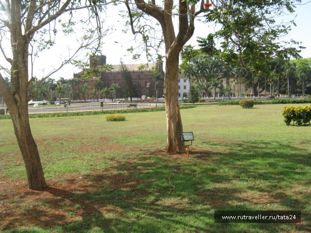 photo 82011