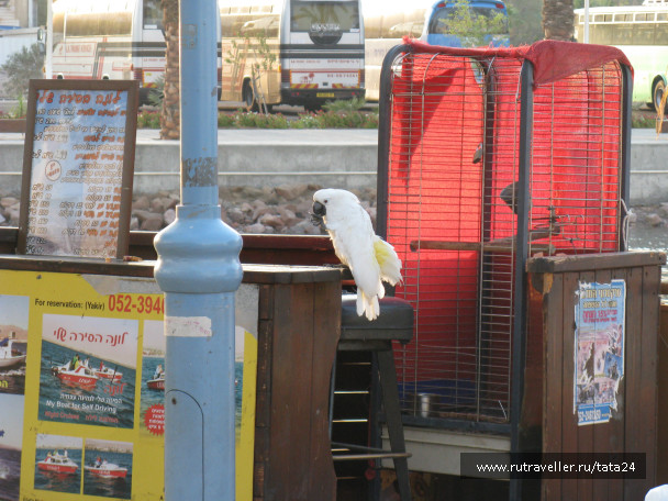 photo 210667