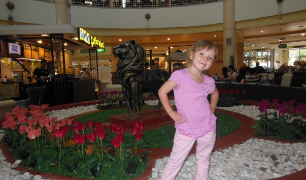 51a4dc8183527.jpg