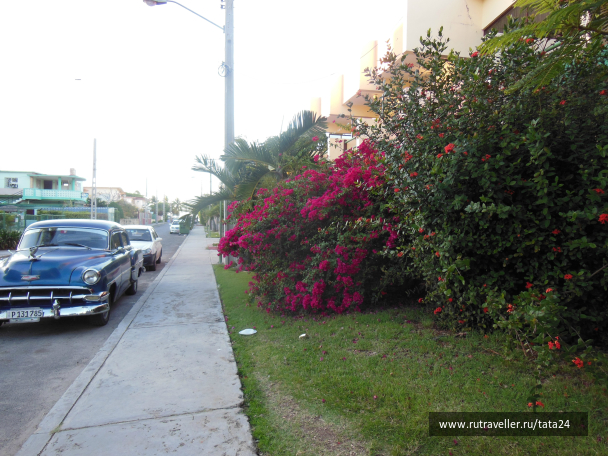 photo 695740
