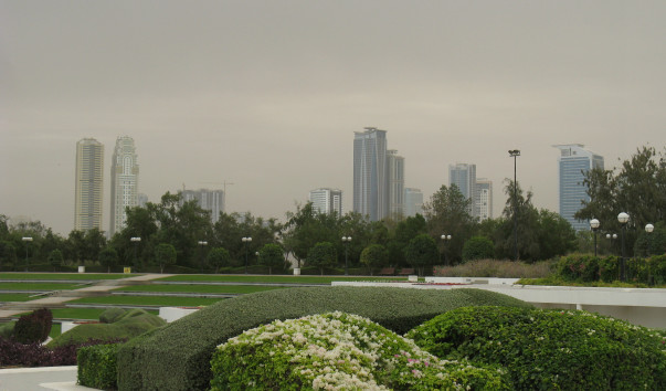 ОАЭ 303