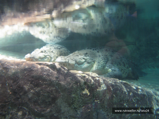 photo 990707