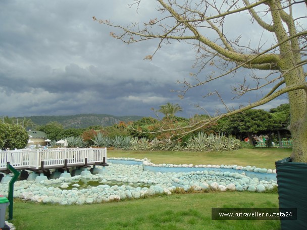photo 1111248