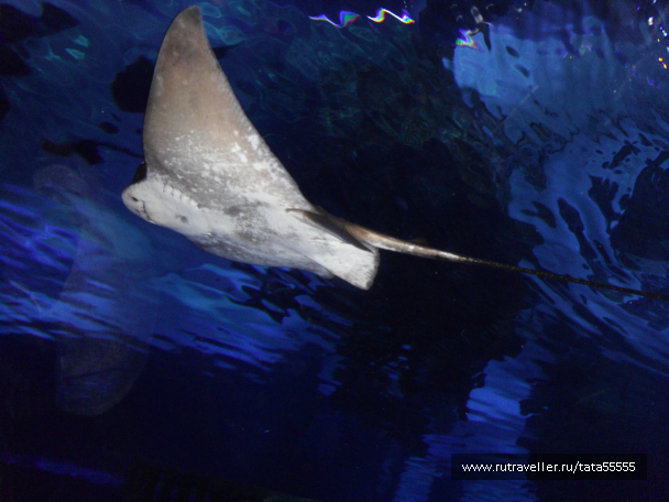 photo 1304332