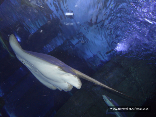photo 1304333
