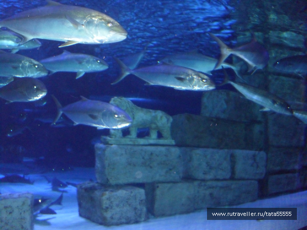 photo 1304334