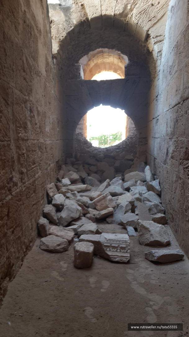 photo 1334473