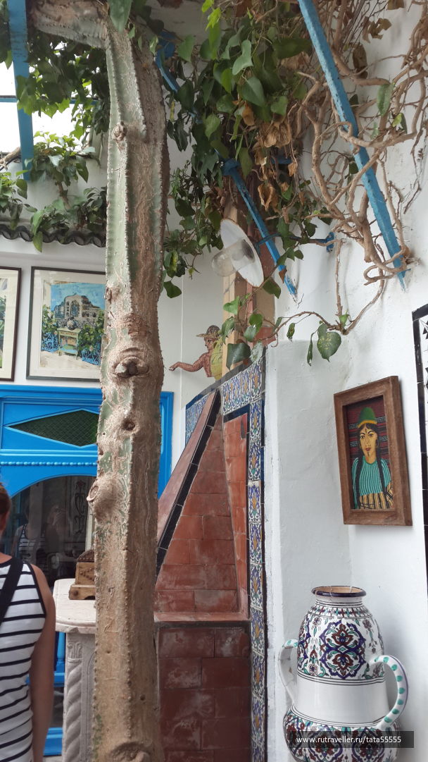 photo 1349478