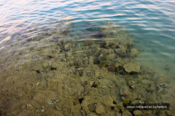 photo 663593