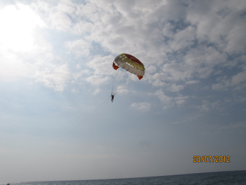 photo 1235955