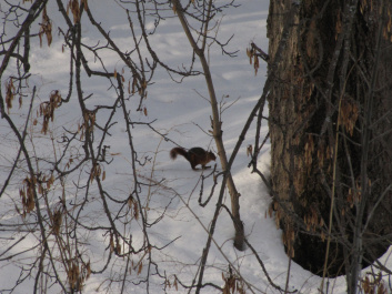 photo 291127