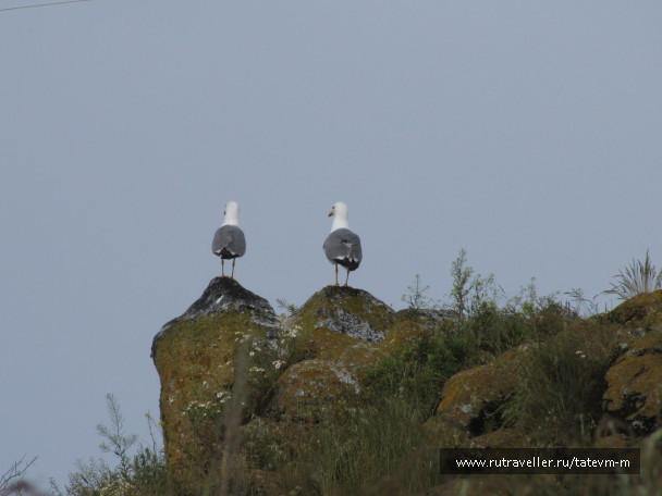 photo 1235924