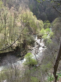 photo 1235934