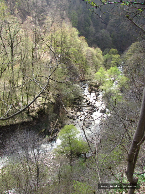 photo 1235934