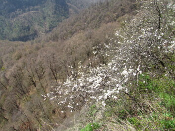 photo 1235937