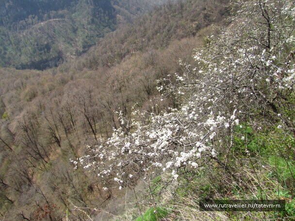photo 1235937