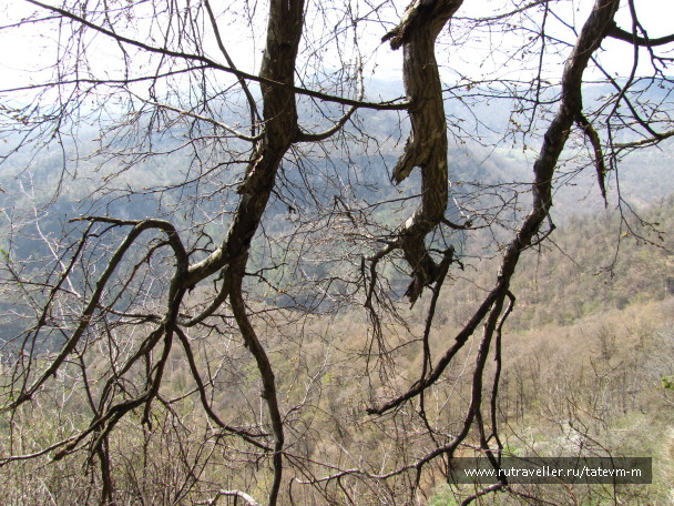 photo 1235938