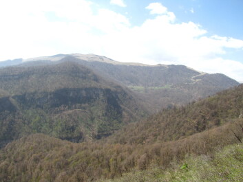 photo 1235939